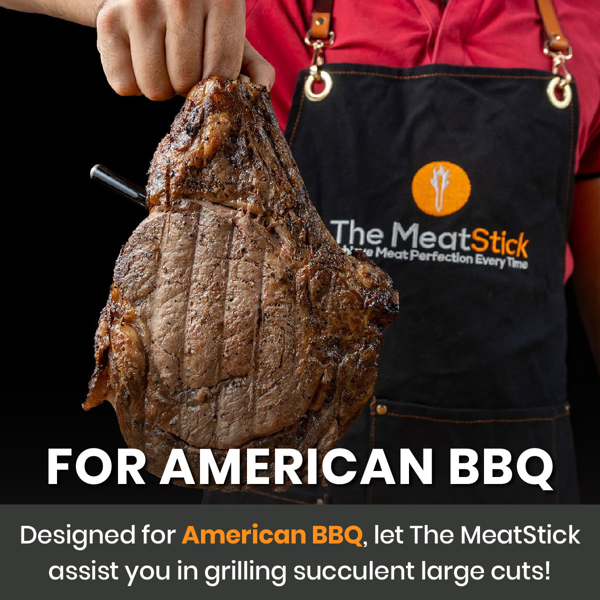 MeatStick 4X Set