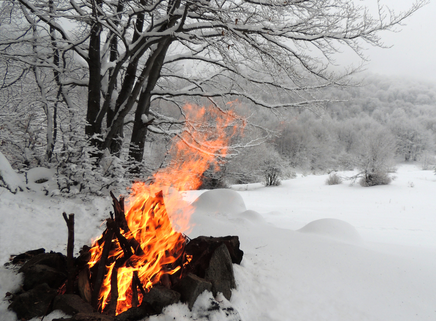 a campfire surrounded by lots of snow