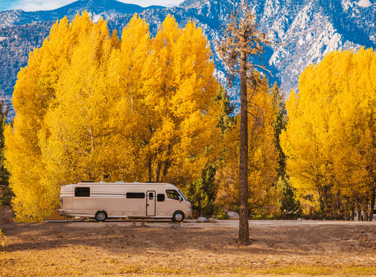 A large RV parked along a trail nestled against large yellow trees that capture the beautiful fall colors
