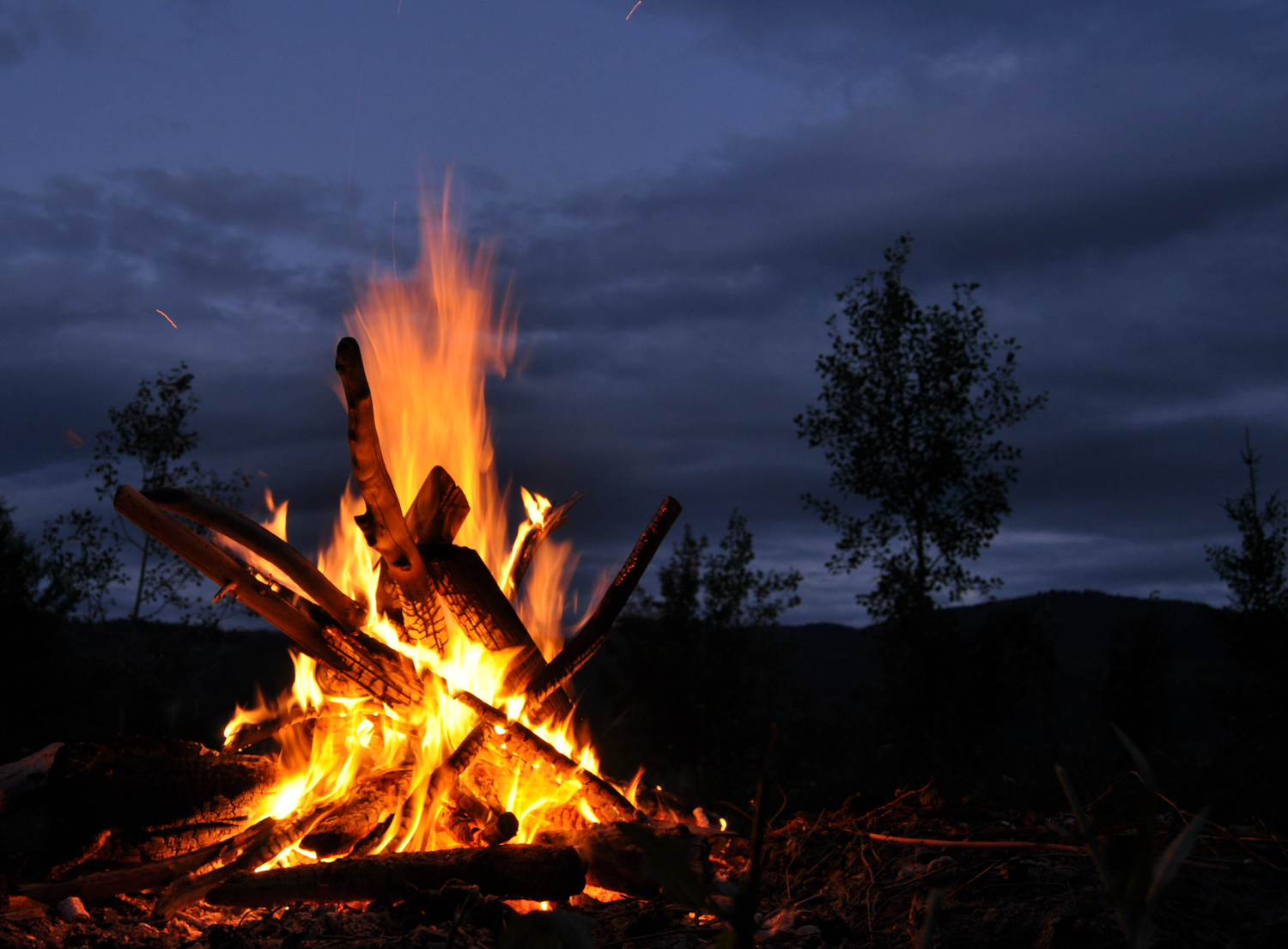 A big bright campfire burning at night in a forest