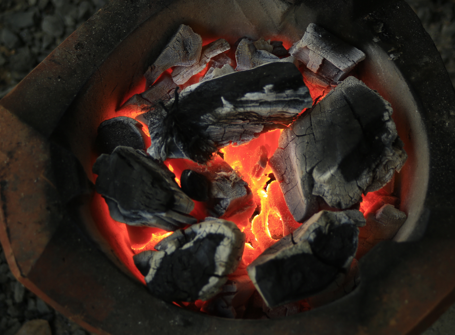 lump charcoal heating in a bbq grill