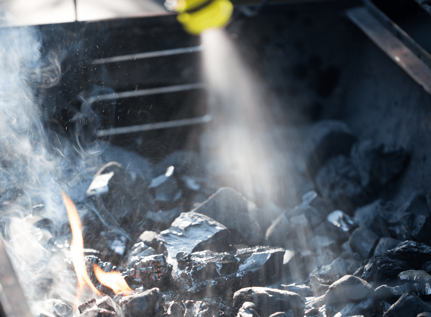 Barbecue Lighting Fluid
